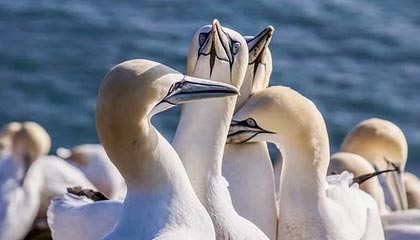 大理2026年最新医保提取中介联系微信方法介绍(分享医保卡中介取现)