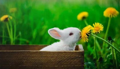 大理2026年最新医保提取中介联系微信方法介绍(分享医保卡中介取现)